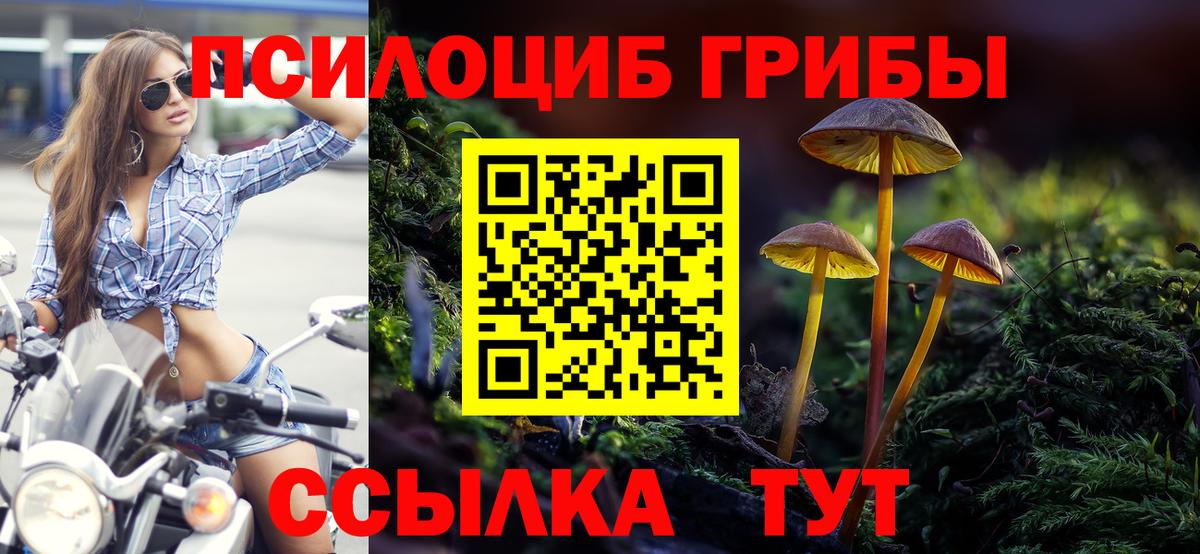 Галлюциногенные грибы мицелий Саяногорск