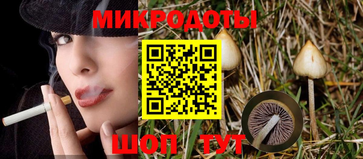 Саяногорск  Галлюциногенные грибы прущие грибы  Галлюциногенные грибы GOLDEN TEACHER  Вход с VPN 